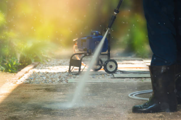 Best Roof Cleaning and Mildew Removal in Gholson, TX